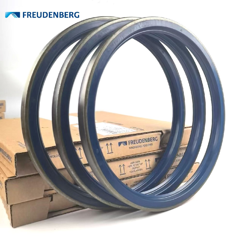 Freudenberg油封径向轴封 Simmerring® B1OF